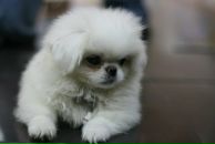 Фотография Окулова Анатолия