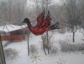 Фотография Т Евгении