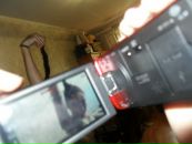 Фотография Фирсковой Полины