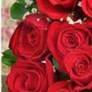 Іра Сакундяк фотография #43 (источник - https://vk.com/id35307343)