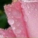 Людок Корнійчук фотография #37 (источник - https://vk.com/id21605957)