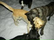 Наталія Петрова фотография #43 (источник - https://vk.com/id8906209)