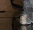 Іванка Качула фотография #47 (источник - https://vk.com/id154400532)