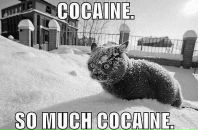 Лілія Шевчук фотография #40 (источник - https://vk.com/id12405492)