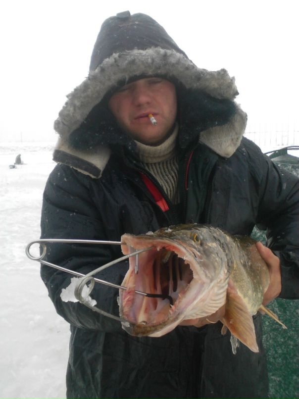 Андрей Гордейко фотография #24