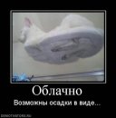 Игорь Королев фотография #34 (источник - https://vk.com/id44554)