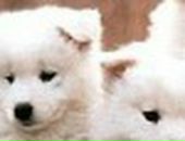 Вика Третьякова фотография #44 (источник - https://vk.com/id808294)