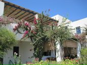 Ольга Візниця фотография #35 (источник - https://vk.com/id46267416)