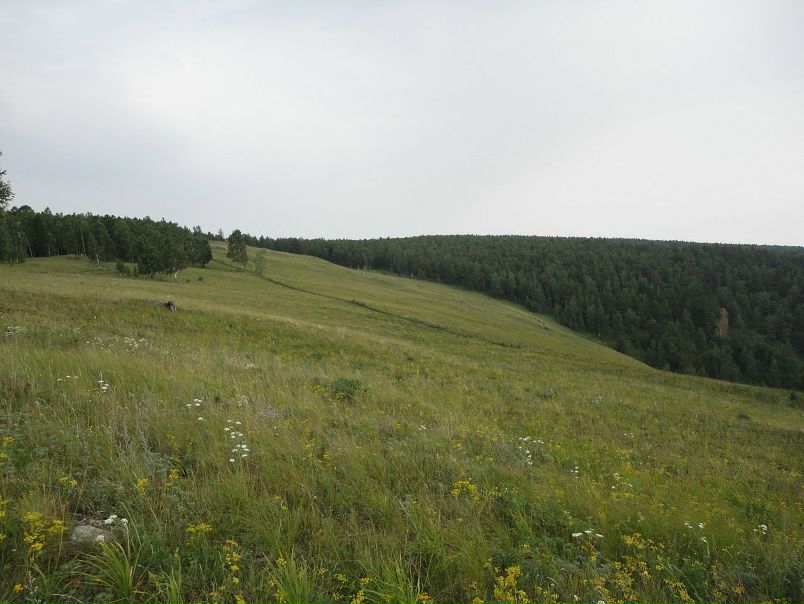 Михаил Маценко фото №49