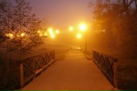 Фотография Kitchen Yellow