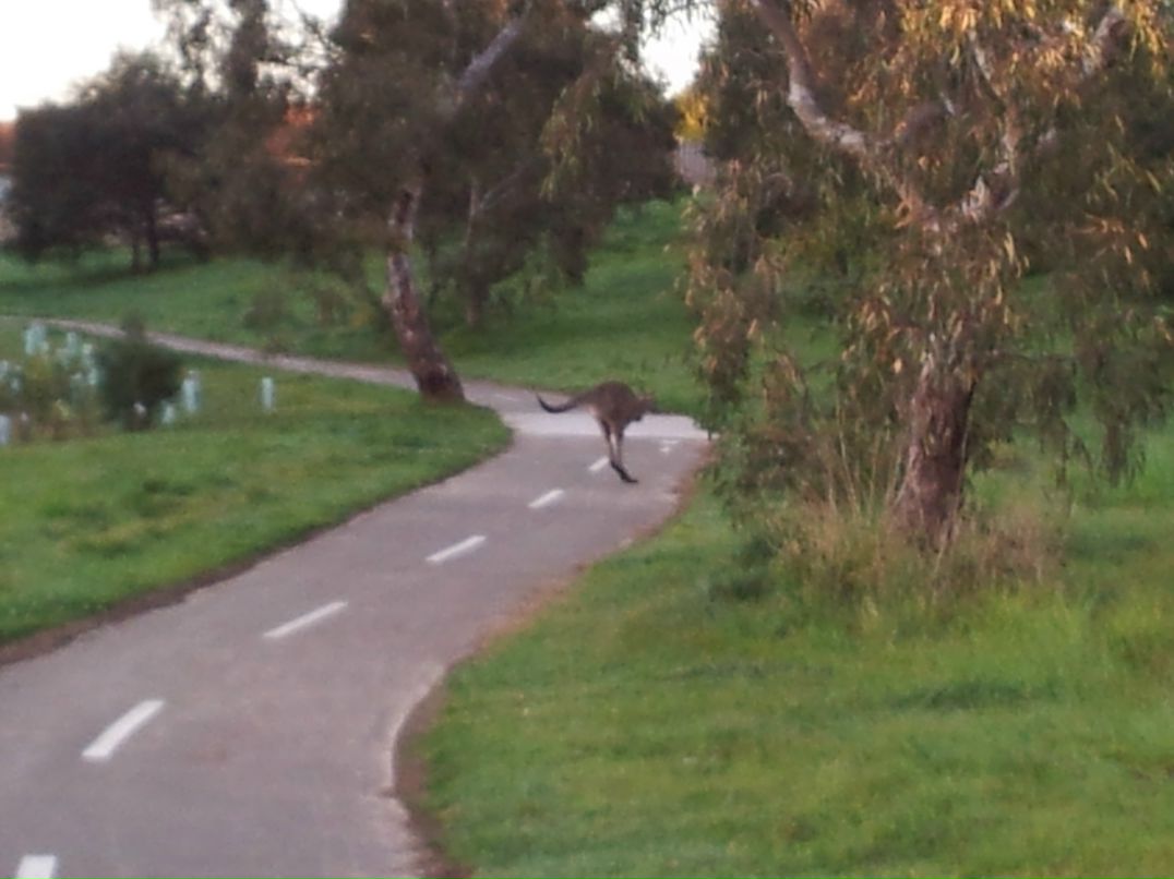 Олег Ермаков фотография #21