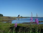 Анна Журавлёва фотография #27 (источник - https://vk.com/id461369)