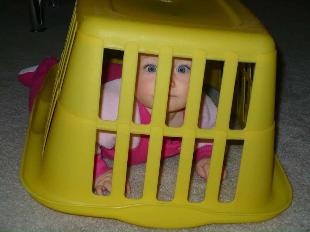 Алла Заиченко фотография #21