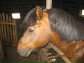 Фотография Алексеевой Надежды