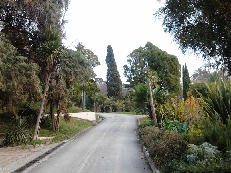 Том Колыч фотография #24