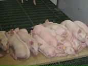 Вітя Лехновський фотография #49 (источник - https://vk.com/id24313656)