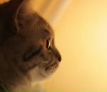 Фотография Чекурина Сергея