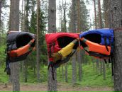 Фотография Носовой Анны