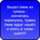 Катя Хомучеєва фотография #10 (источник - https://vk.com/id119736458)