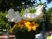 Ольга Мацьків фотография #24 (источник - https://vk.com/id8334654)