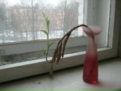 Фотография Железновой Екатерины