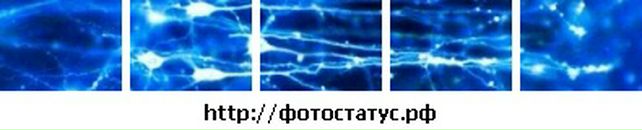 Віталік Ракуш фотография #14 (источник - https://vk.com/id107499276)