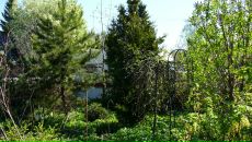 Рогнеда Степанова фотография #43 (источник - https://vk.com/id8756748)