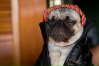 Фотография Трифонова Андрея