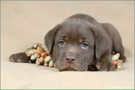 Фотография Атласовой Елены