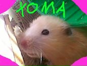 Таміла Кравець фотография #12 (источник - https://vk.com/id123381237)