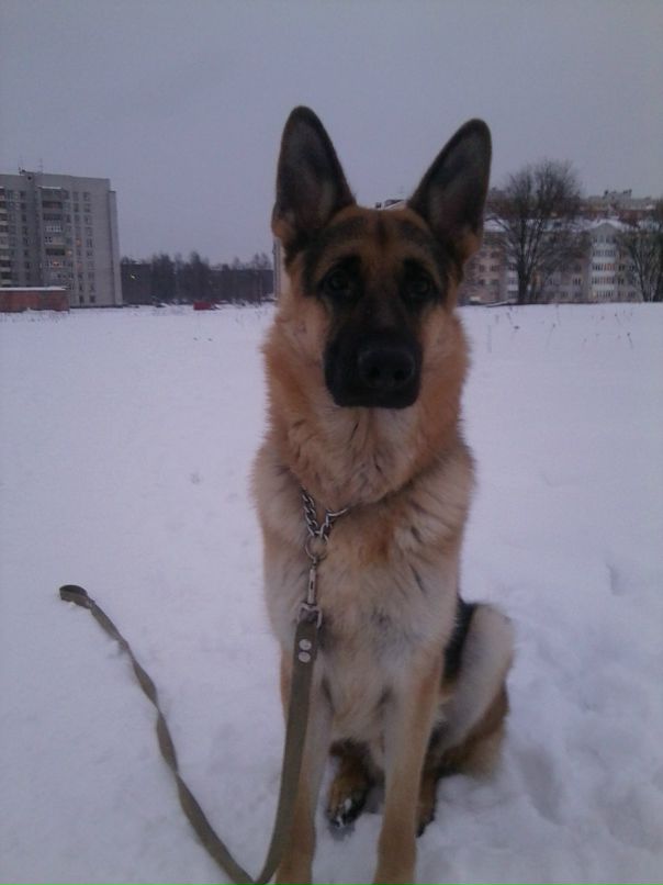 Андрей Кубышкин фотография #37