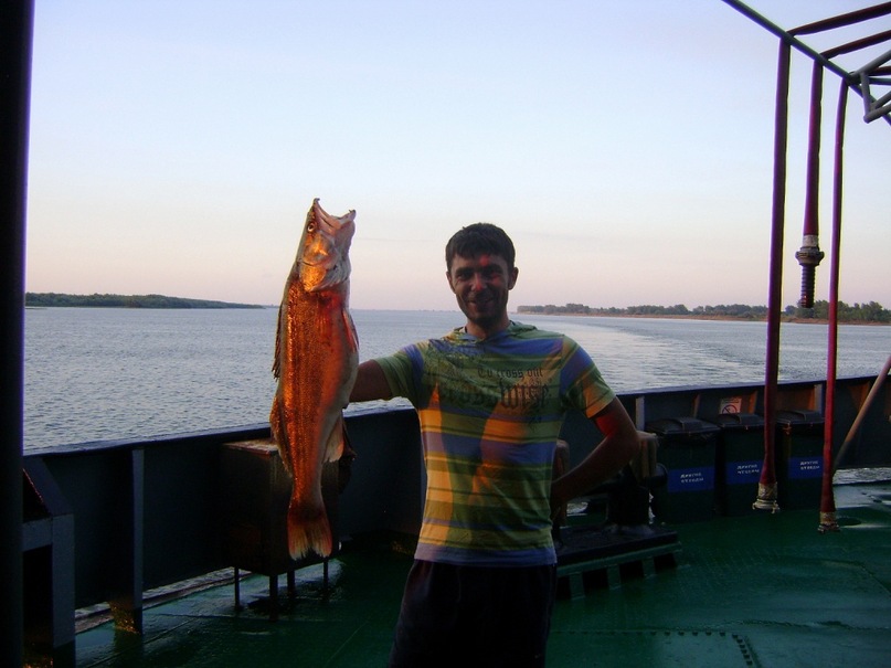 Дмитрий Кущёв фотография #47