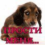 Іван Розлуцький фотография #32 (источник - https://vk.com/id140673257)