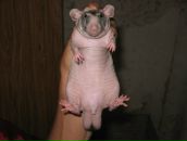 Фотография Покровского Димы