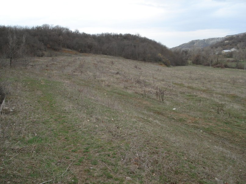 Кащеев Серега фотография #32