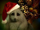 Фотография Рябовой Алены