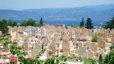 Виктор Скок фотография #7 (источник - https://vk.com/id13503162)