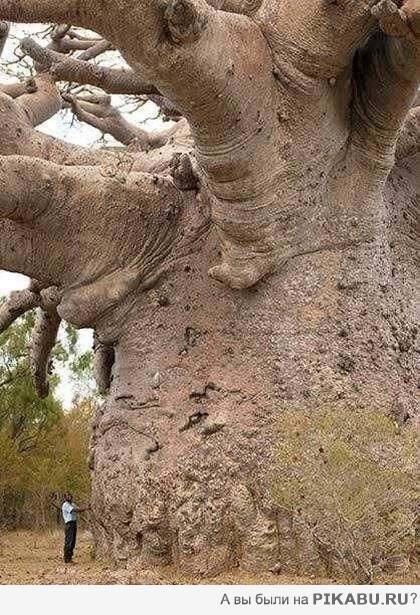 Макс Мысов фотография #8