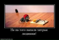 Іван Рева фотография #46 (источник - https://vk.com/id135870454)