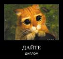 Фотография Гринько Лены