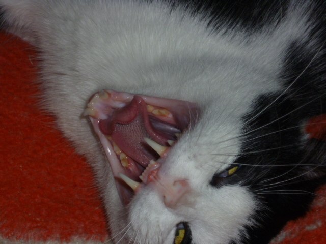 Сергей Басов фотография #16