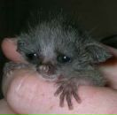 Фотография Суслиной Ольги