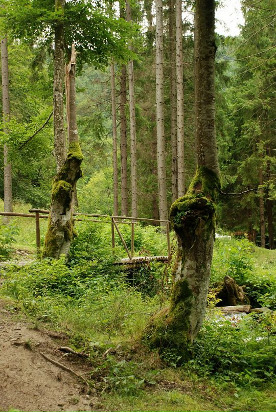 Евгений Радько фотография #41