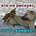 Олічка Біолус-Мриглод фотография #38 (источник - https://vk.com/id18118121)