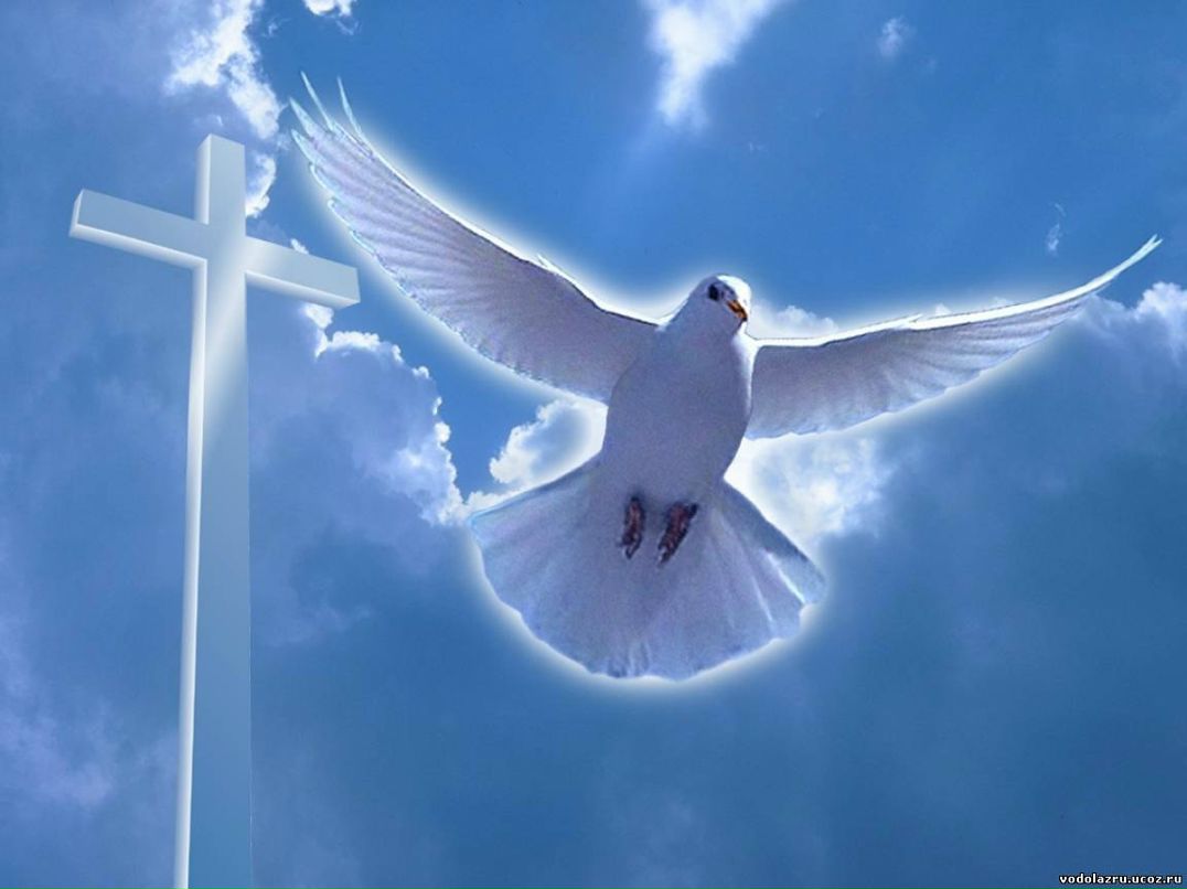 Натали Лагутина фотография #32