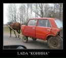 Ігор Пахольчук фотография #33 (источник - https://vk.com/id150317660)