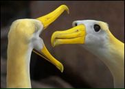 Фотография Ильченко Сергея