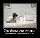 Фотография Лыскович Алены