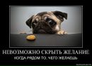 Іра Цівка фотография #40 (источник - https://vk.com/id120948154)