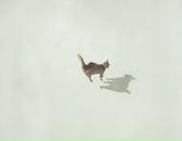 Фотография Лесневой Ирины